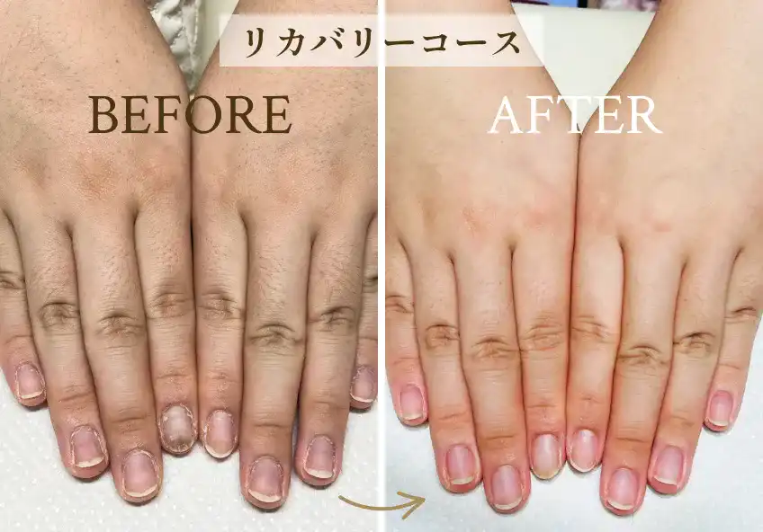 プレミアム認定サロン限定のコースについて